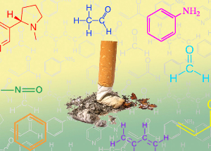 NicoZero blokkok az érzékenységet a nikotin receptorok